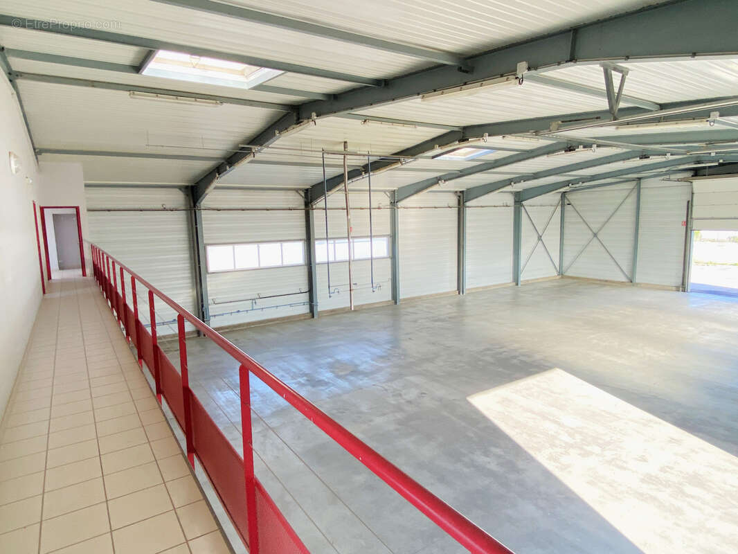 Commerce à RIVESALTES