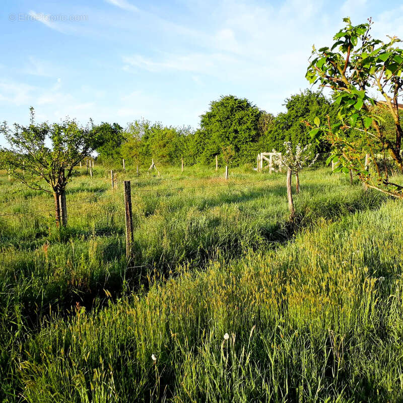 Propriété de 2.5ha avec Maison rénovée, dépendances, Vue Pyrénées - photo 35