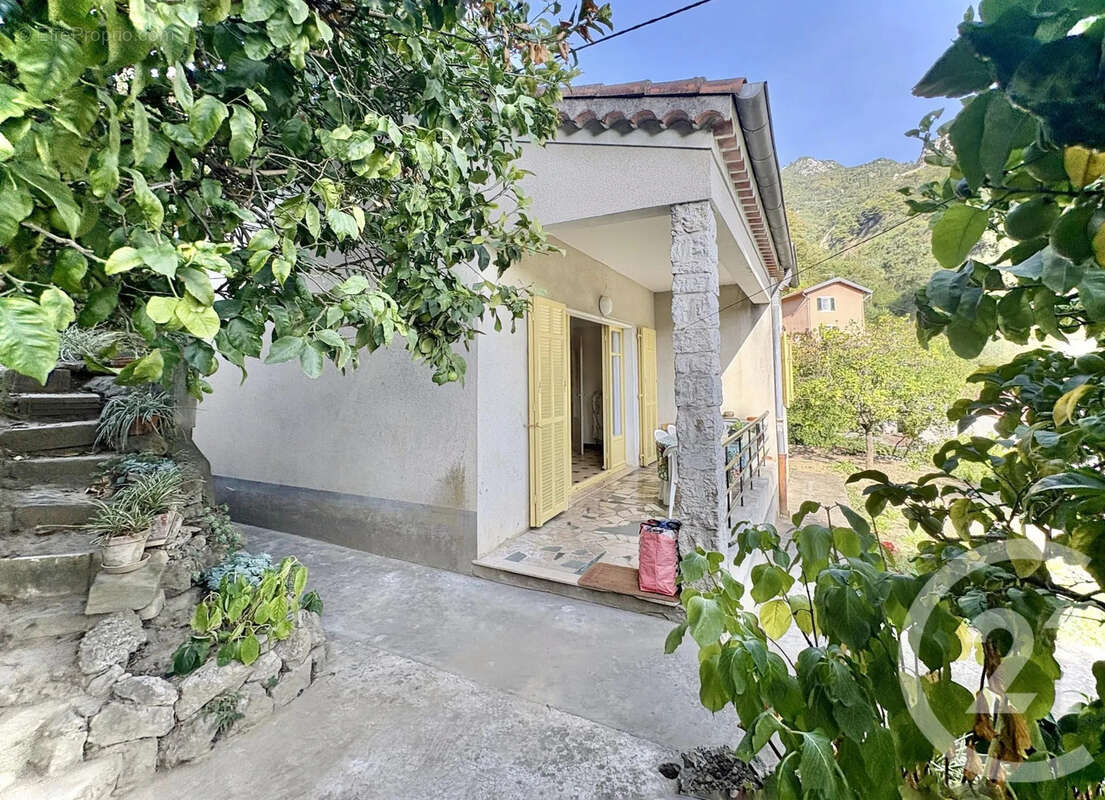 Terrain à SAINTE-AGNES