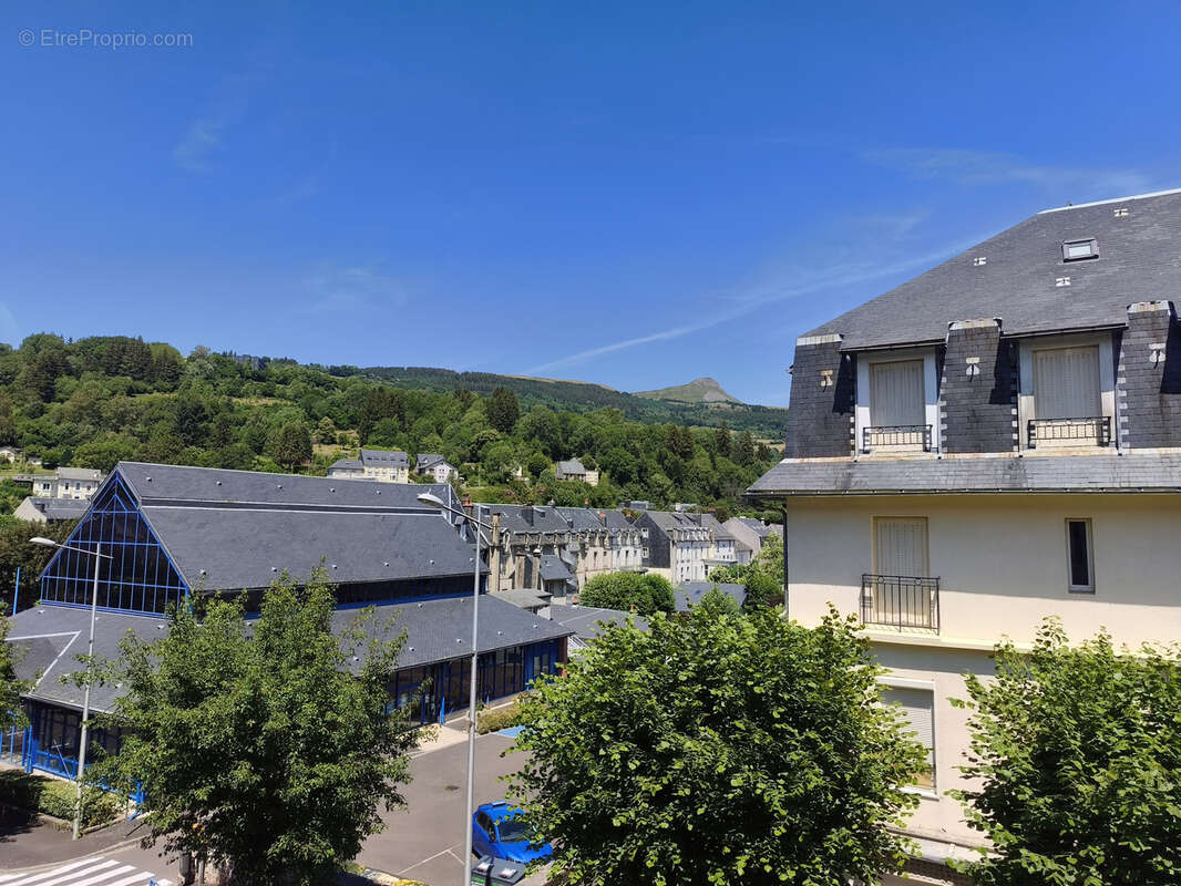 Splendide T2 de 49 m2 entièrement rénové et bien situé - photo 2