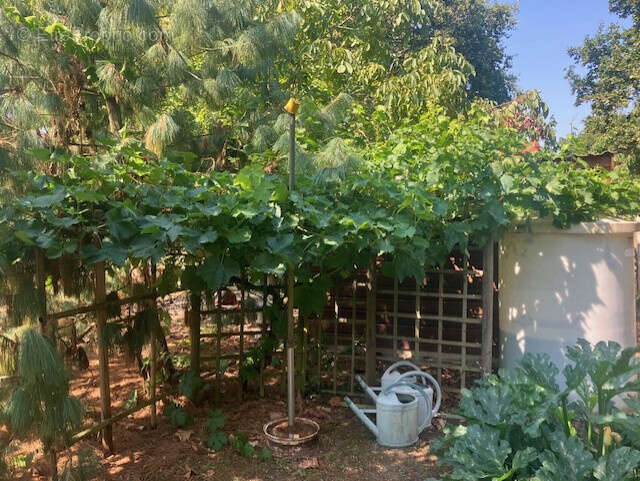 Au coeur d'un jardin paysagé en bordure de zone naturelle maison 3 ch possibilité 4 à 15 minutes de l'océan - photo 5