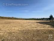 Terrain à LE MONTAT