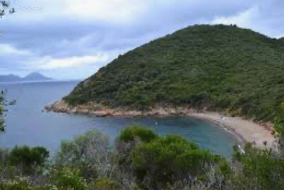 Dpt Corse (20) OSANI - Golfe de Porto, à vendre bâtiment de 920m2 à 3KM de la plage, grand terrain avec parking - photo 14