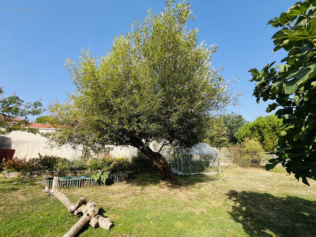 Maison à BAZOGES-EN-PAILLERS