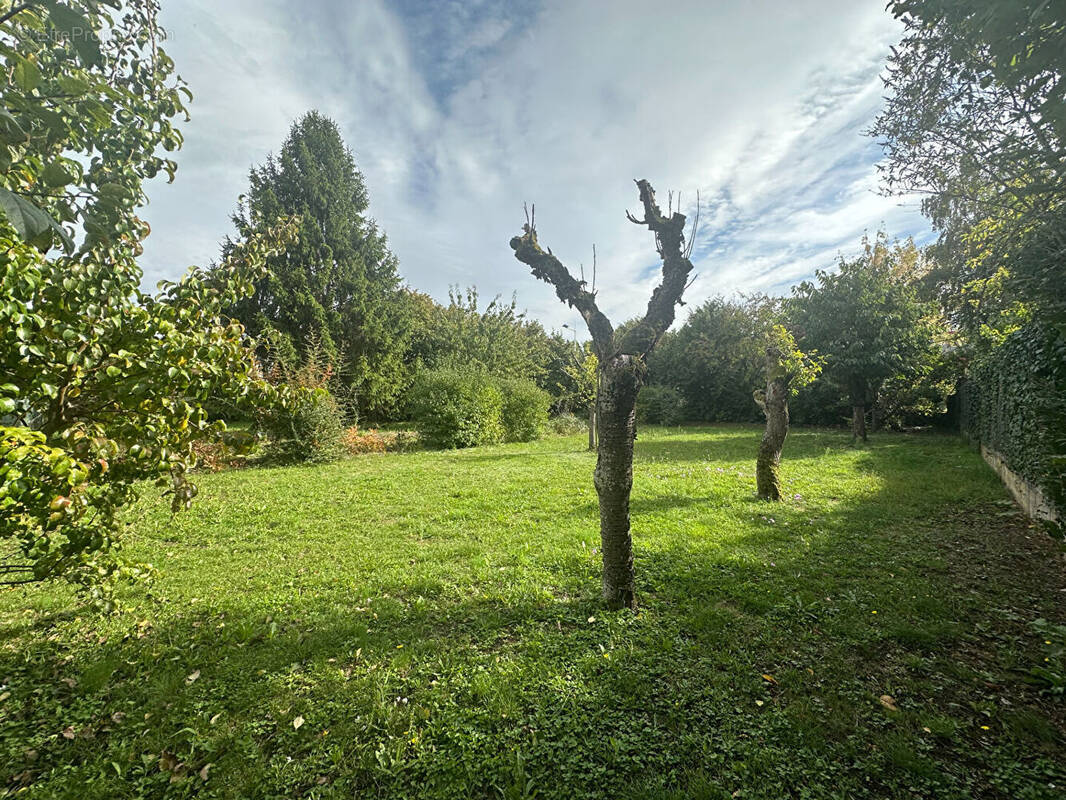 Terrain à JOUE-LES-TOURS