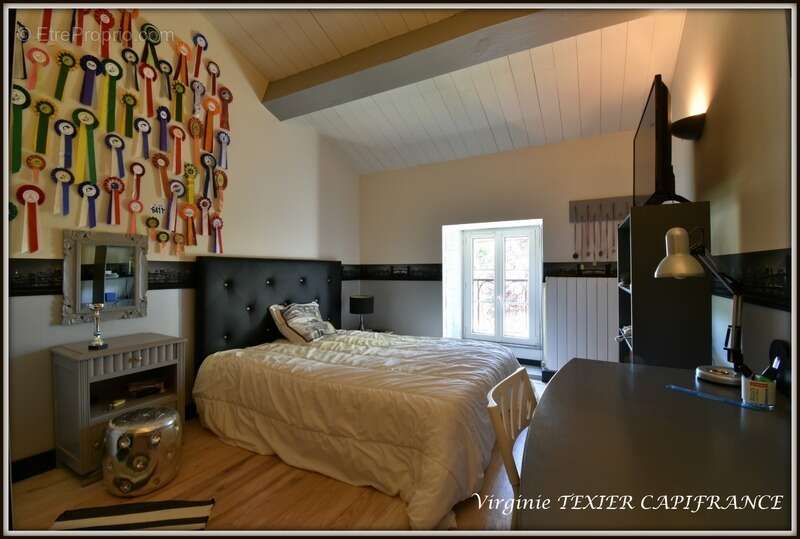 Maison à vendre 10 pièces VILLENEUVE LA COMTESSE (17) sur 4800 m² de terrain avec dépendances - photo 22