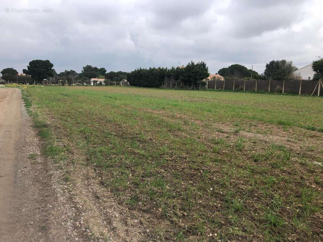 Photo 2 - Terrain à CUXAC-D'AUDE