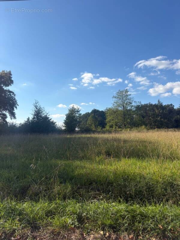 Terrain à LUGON-ET-L'ILE-DU-CARNAY