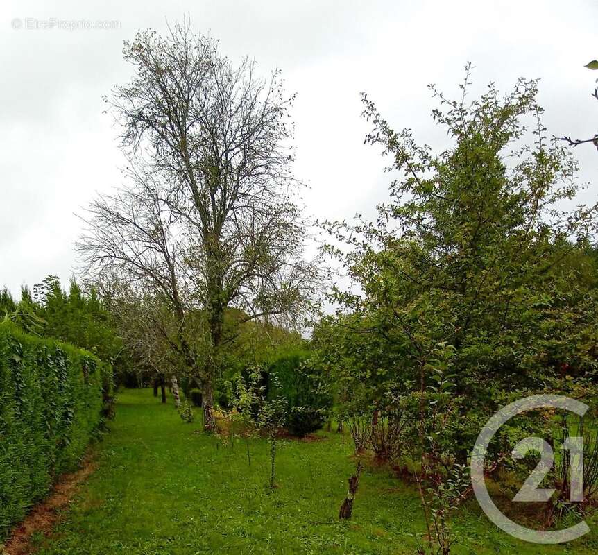 Maison à LES BILLANGES