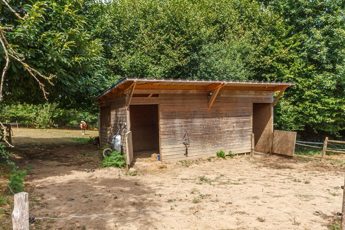 Manche : Maison en pierre de 3 chambres avec studio, écuries et terrain. - photo 18