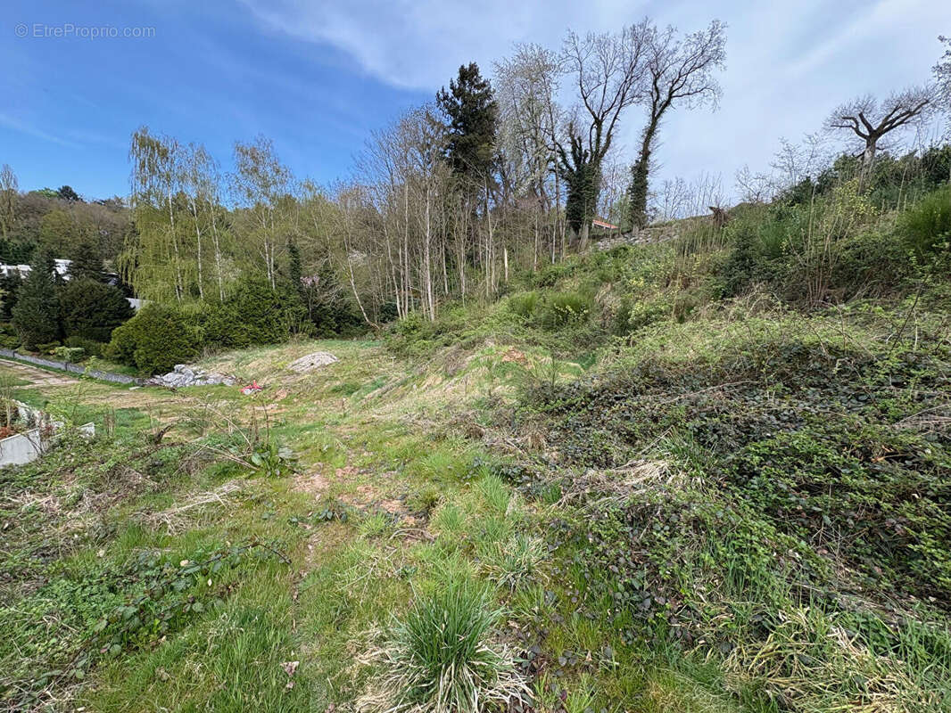 Terrain Saint Avold 3801 m2 - photo 18