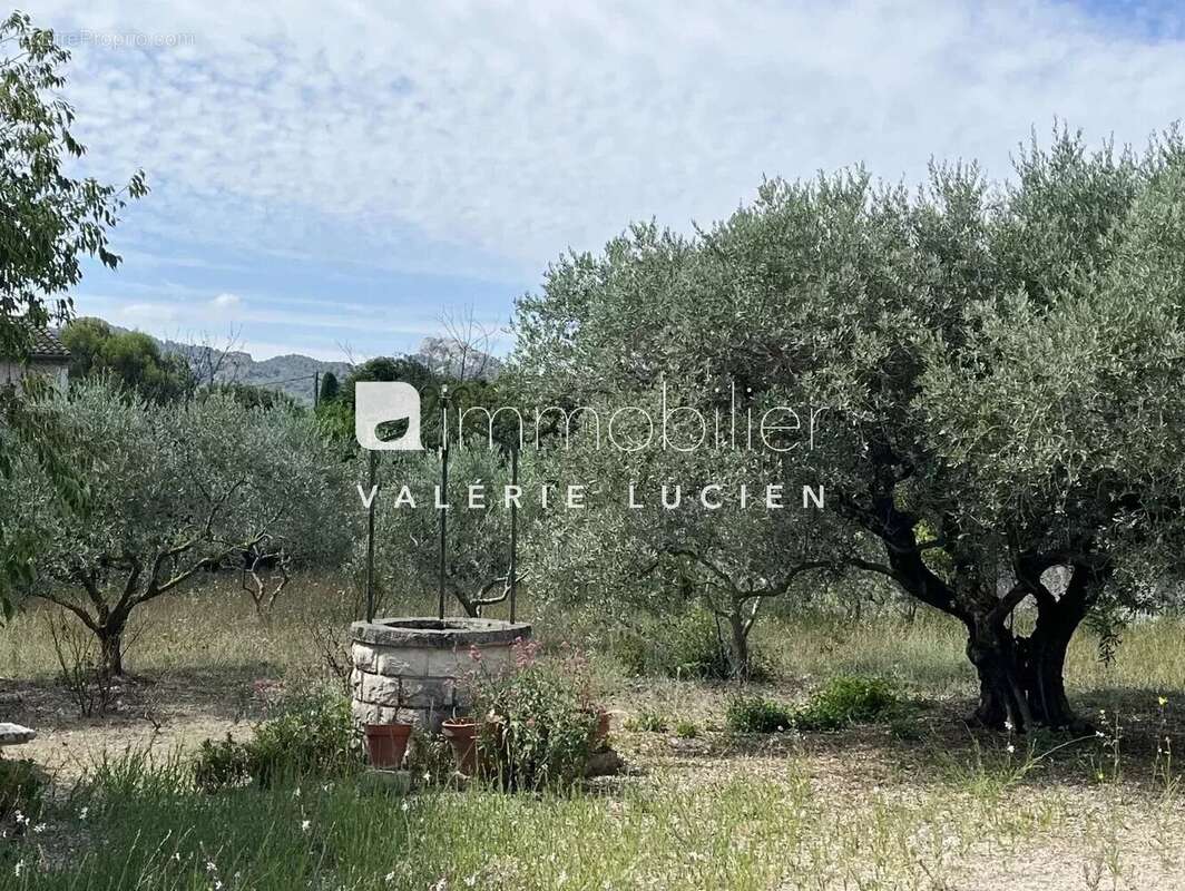 Maison à SAINT-REMY-DE-PROVENCE