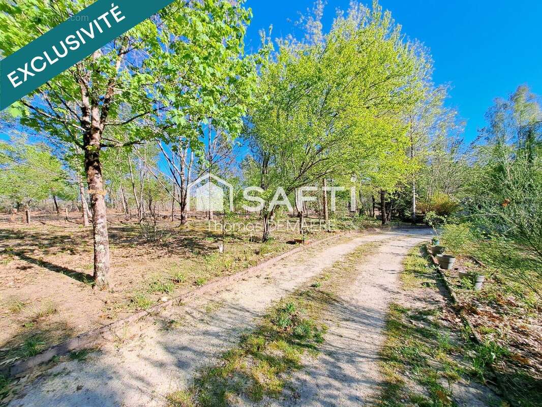 Photo 9 - Maison à MONTENDRE