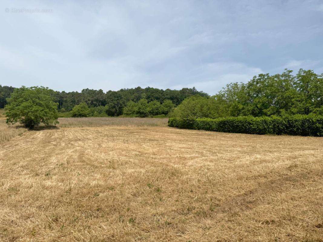 Terrain 2122 m² à Saint-Germain-Du-Salembre  - photo 2