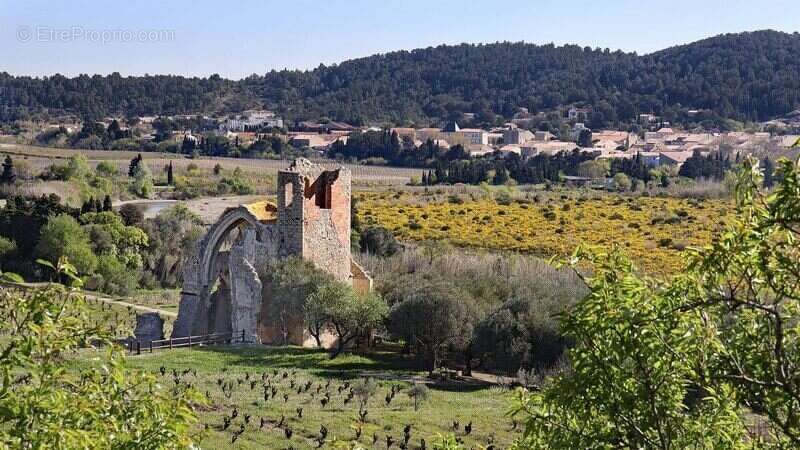 Terrain à PORTEL-DES-CORBIERES