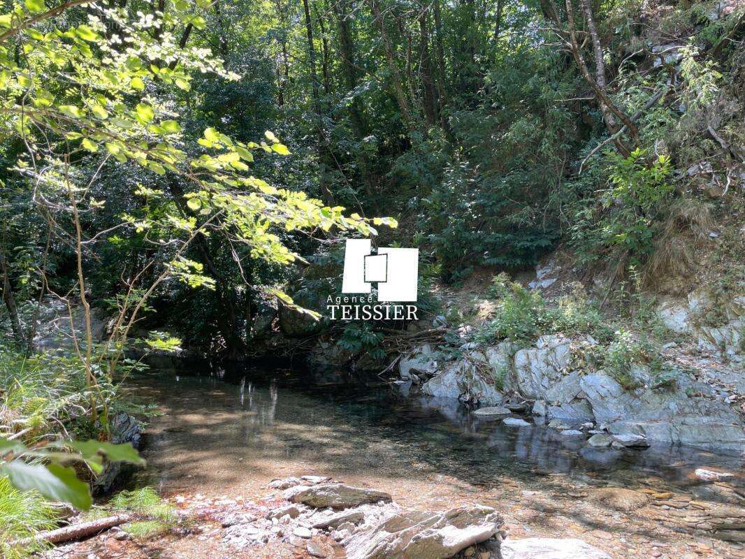 Mas Cévenol avec une vue dégagée et près de 3 hectares de te - photo 6