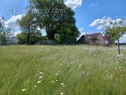 Terrain à JOUE-L'ABBE