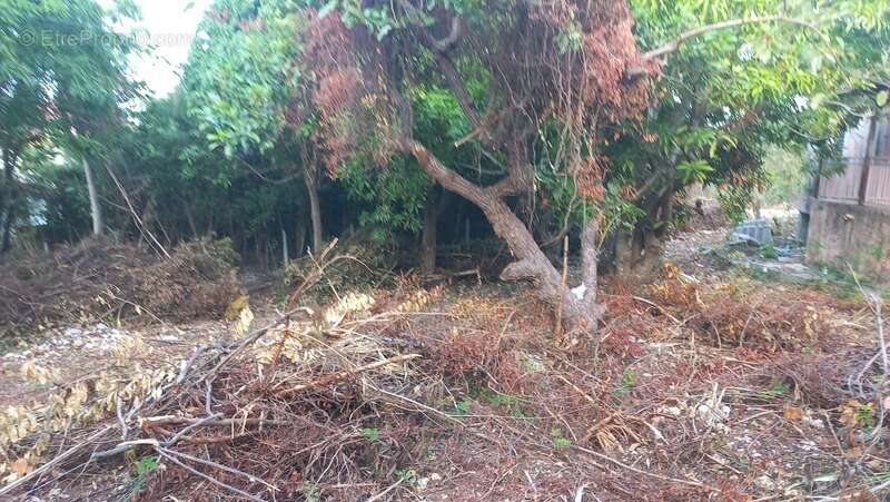 Maison à SAINTE-ANNE