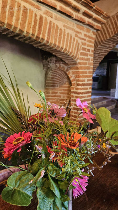 Maison 413 m² à Gaillac  - photo 6