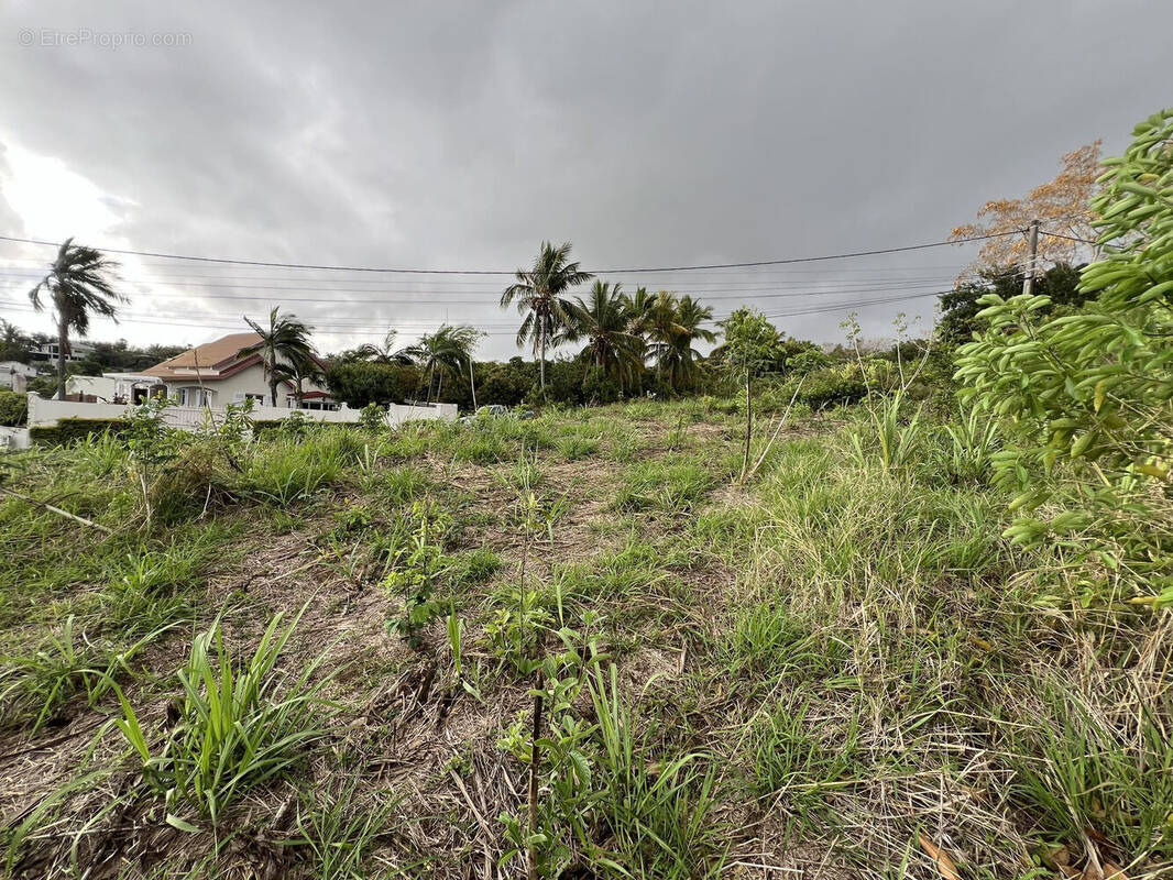 Photo 1 - Terrain à SAINT-LOUIS