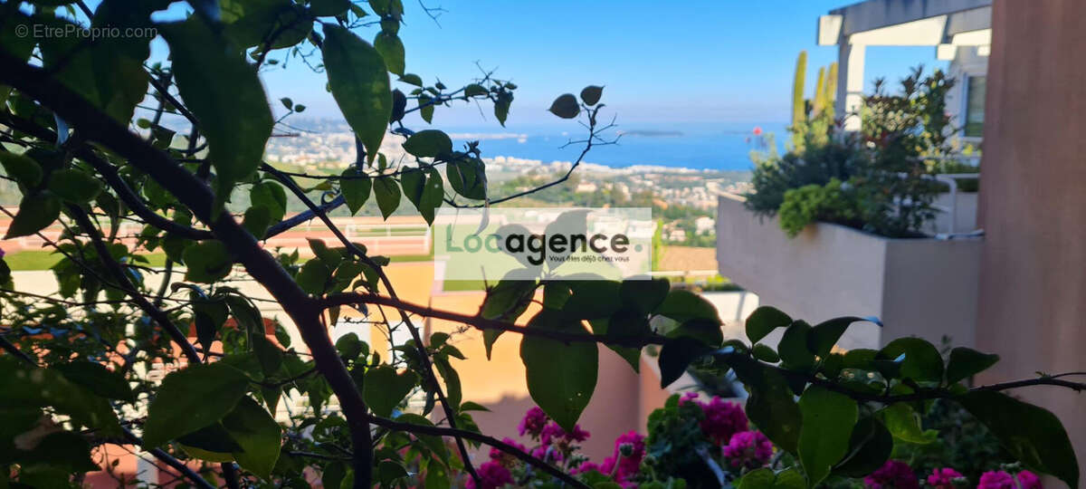 Appartement à MANDELIEU-LA-NAPOULE