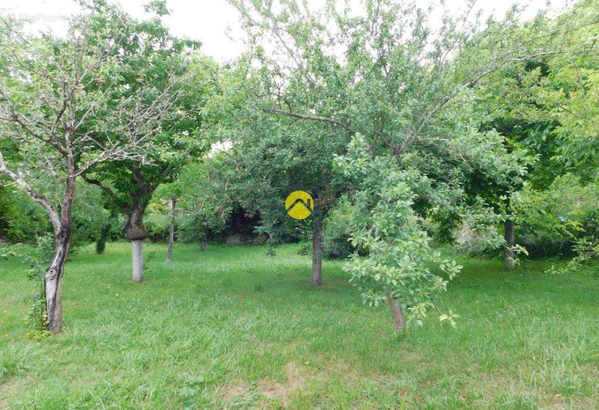 Maison de village - photo 7