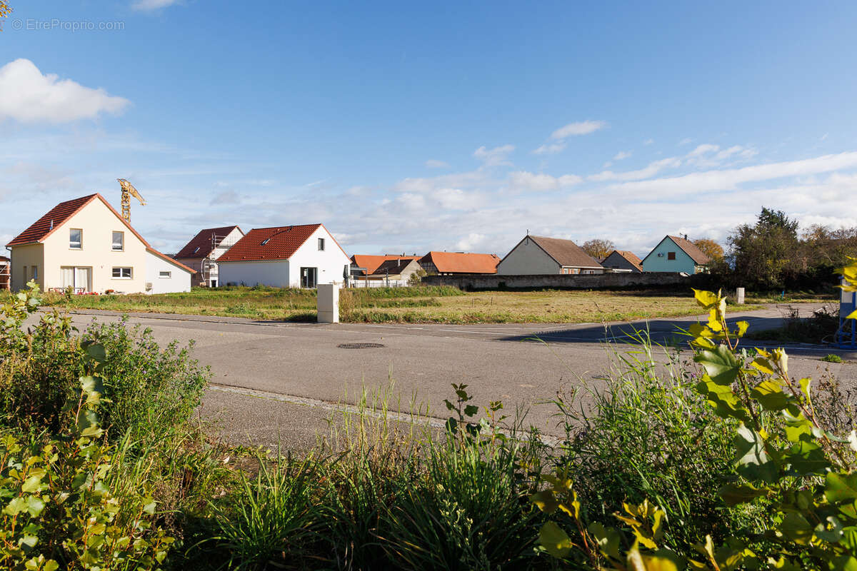 Terrain à BLODELSHEIM