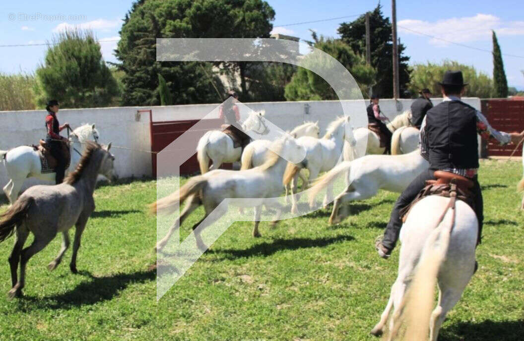 Commerce à SAINT-LAURENT-D&#039;AIGOUZE