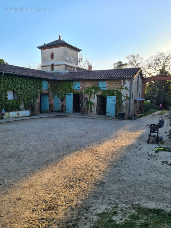 CINTEGABELLE- Fonds de commerce pension de chevaux et poney club - photo 3