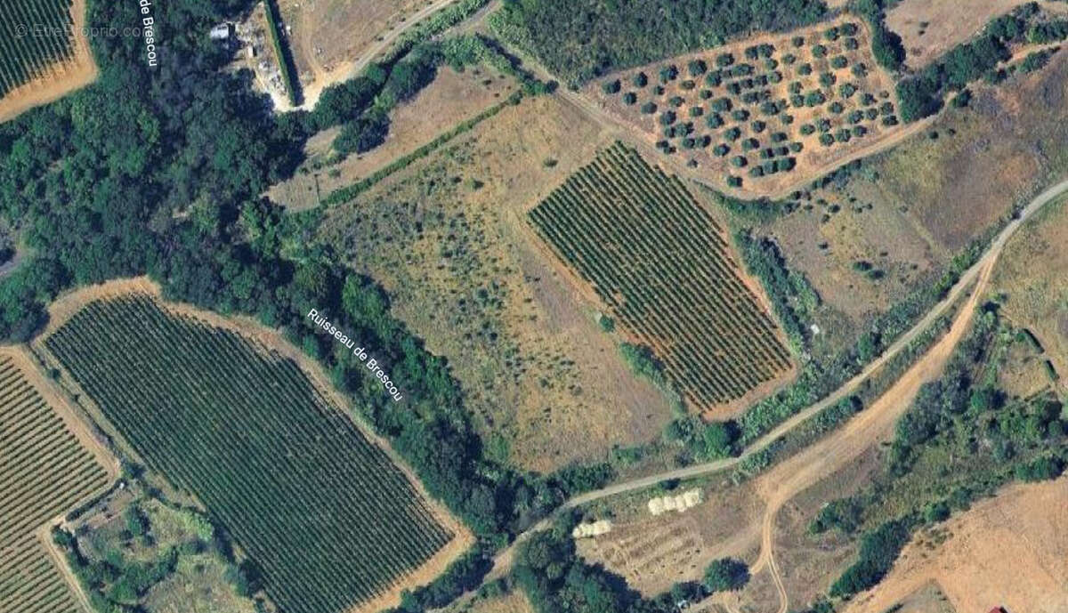 TERRAIN - 12 440m2 - photo 3