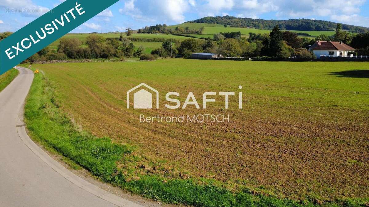 Photo 4 - Terrain à SAINT-PANCRE