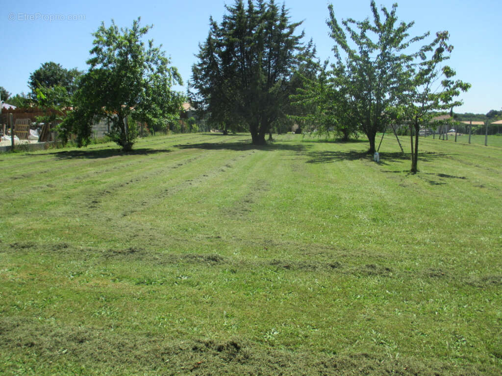 Terrain à LE DOUHET