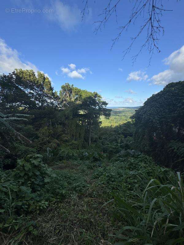 Terrain à LE FRANCOIS