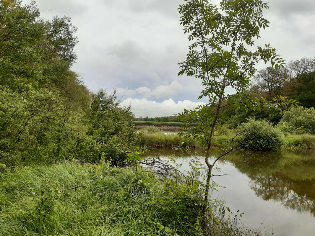 Terrain à TOUL