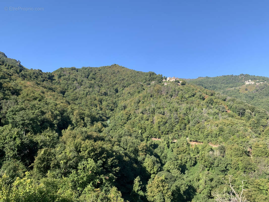 Maison à SAN-NICOLAO