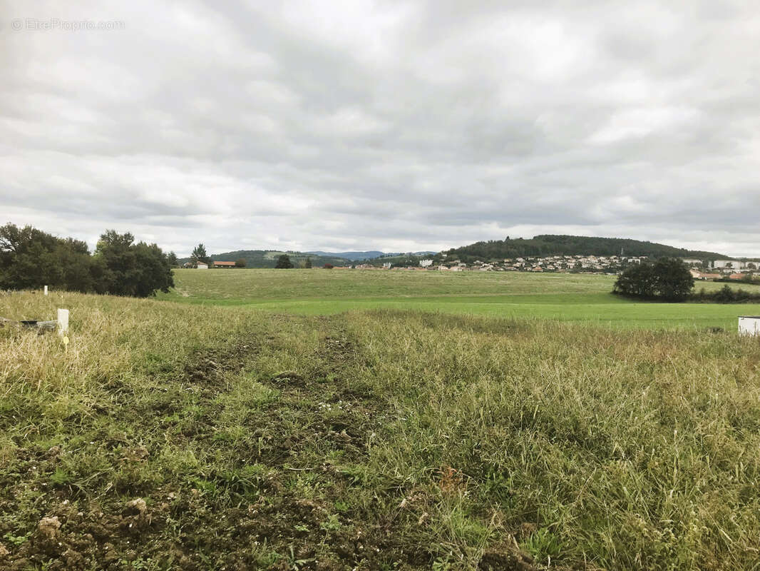 Terrain à ROCHE-LA-MOLIERE