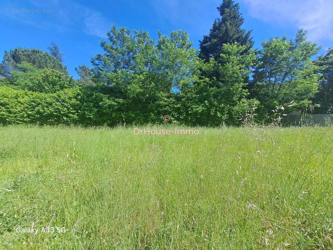 Terrain à SAINT-FLORENT-SUR-AUZONNET