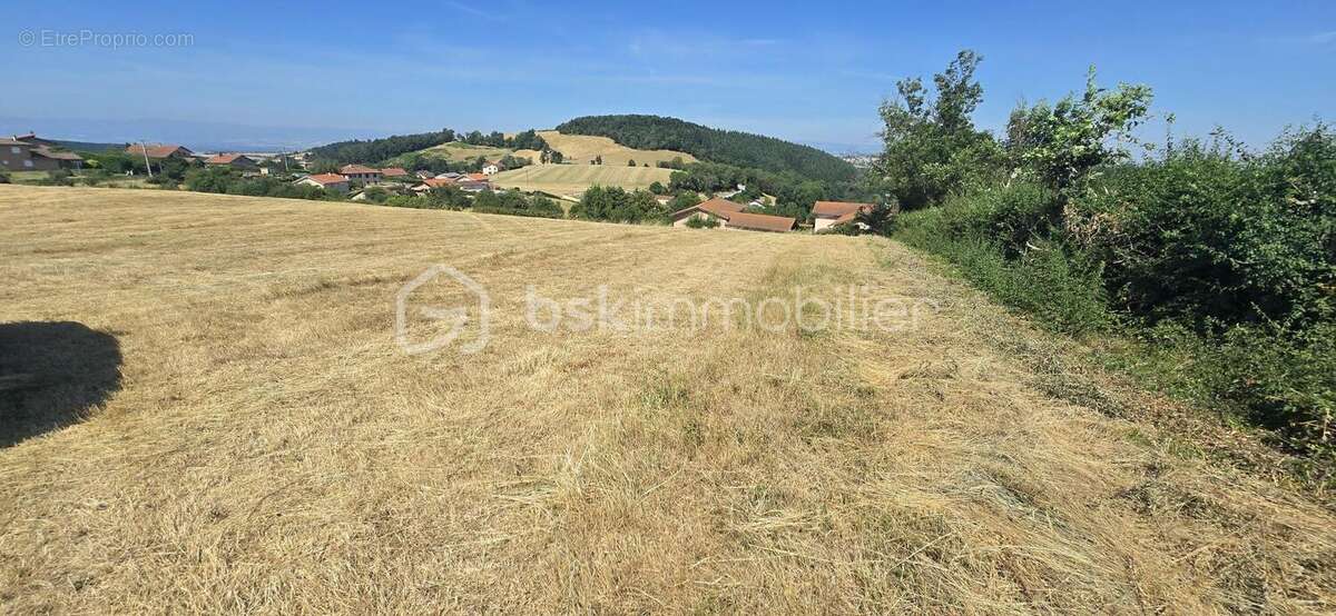 Terrain pour batisseur/lotisseur - photo 6