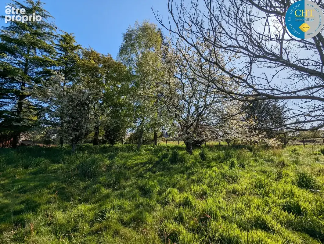 Terrain à PLELAN-LE-GRAND