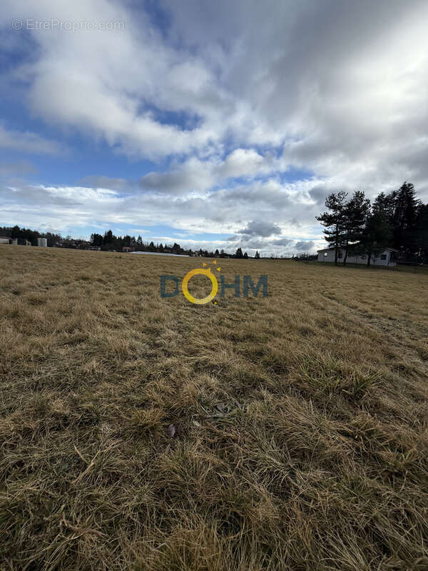 Terrain à SAINT-PAL-DE-MONS