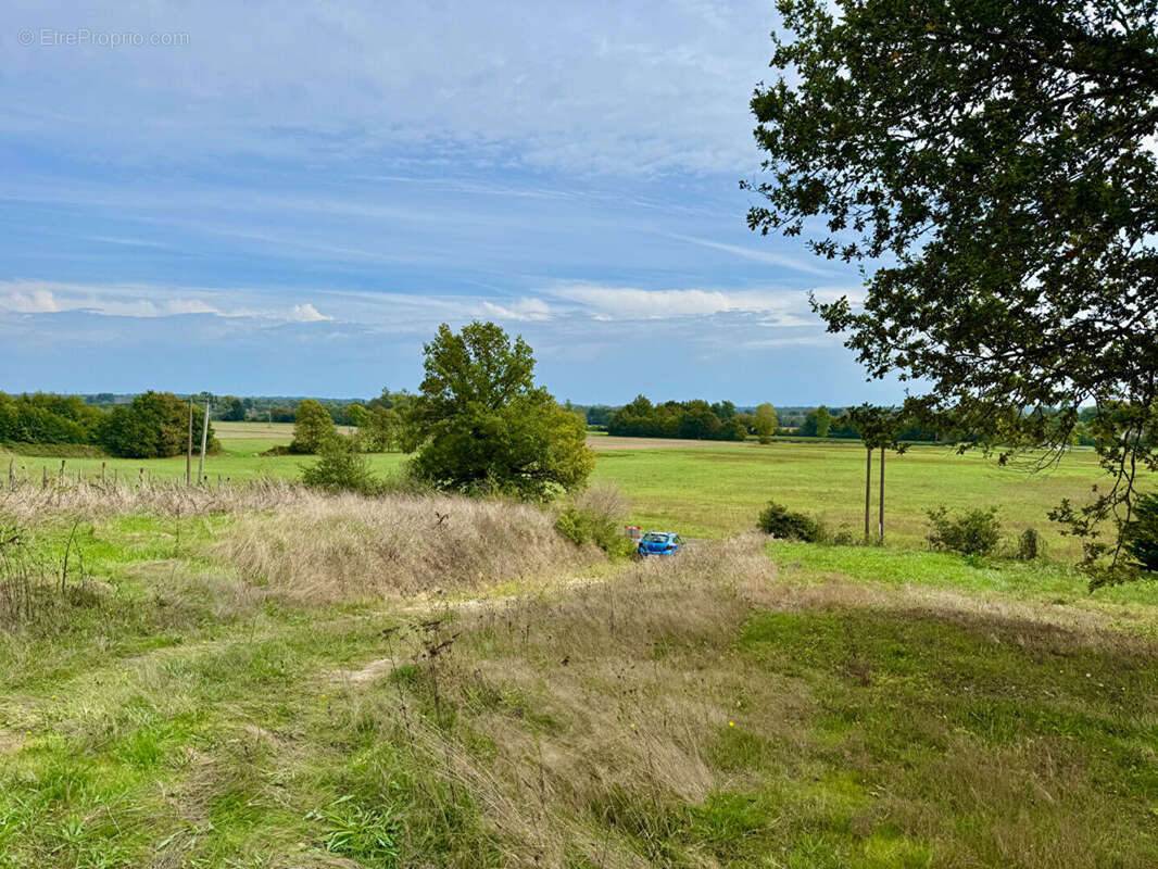 Terrain à SAINT-AIGULIN