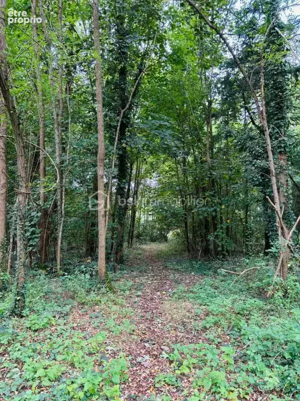 Propriété équestre - photo 15