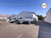 Commerce à SAINT-LOUIS