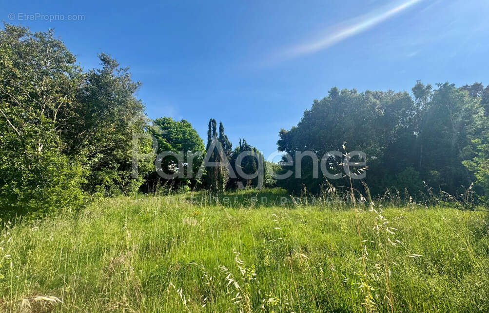 Terrain à VAUX-SUR-MER