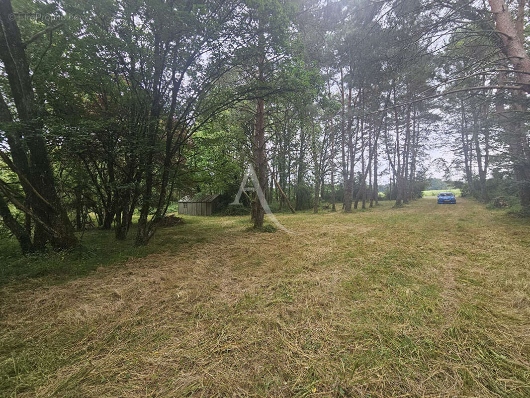 Terrain à CERE-LA-RONDE