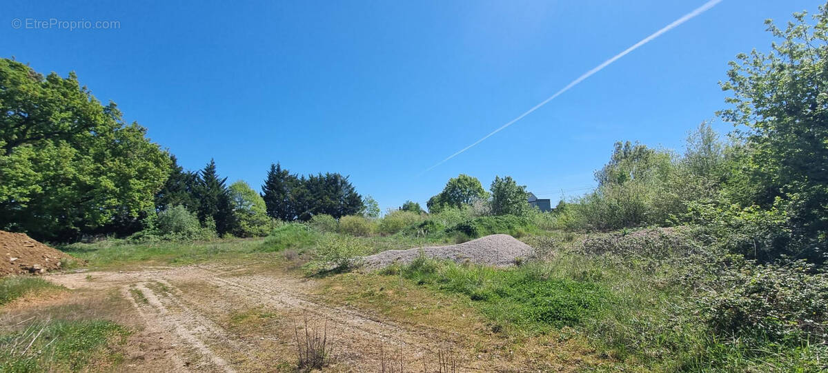 Terrain à CHATELLERAULT