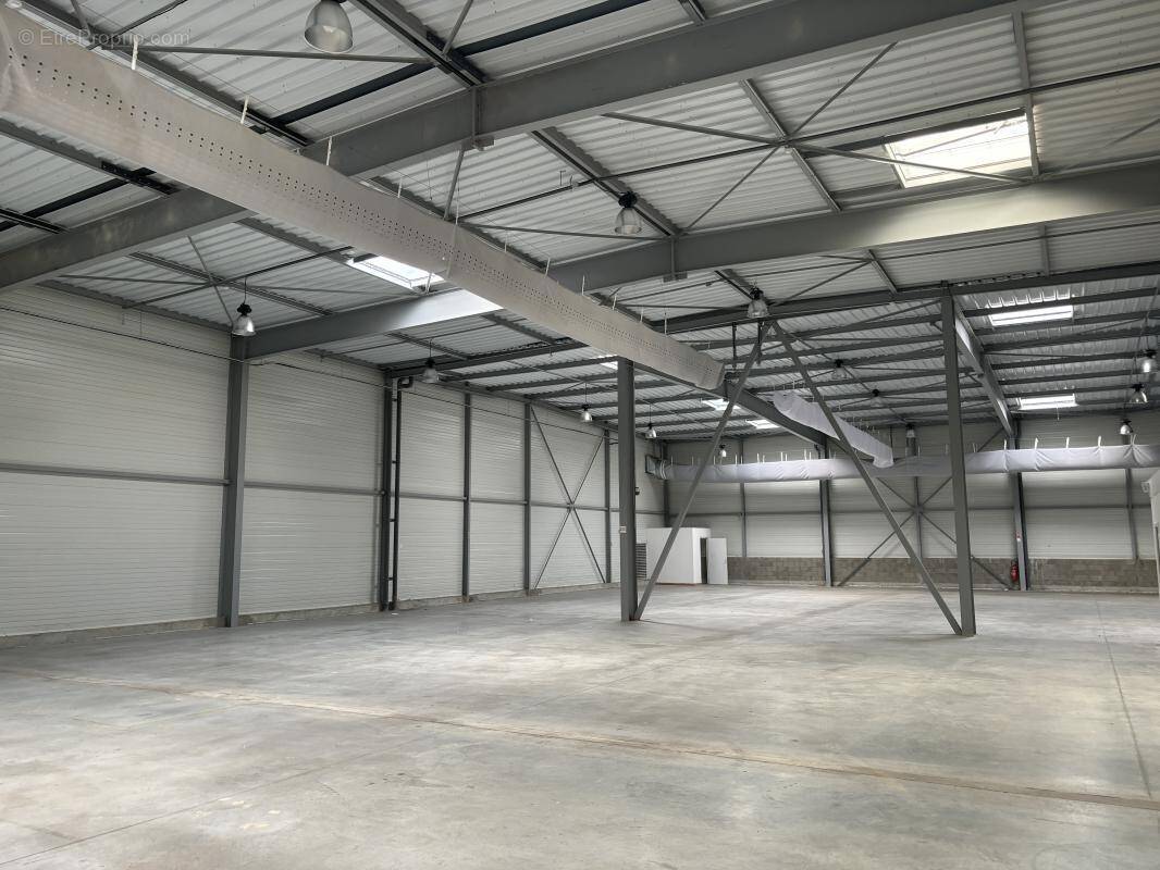 Commerce à CHASSENEUIL-DU-POITOU