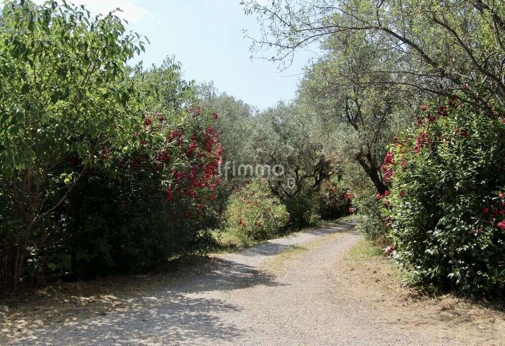 Maison à DRAGUIGNAN