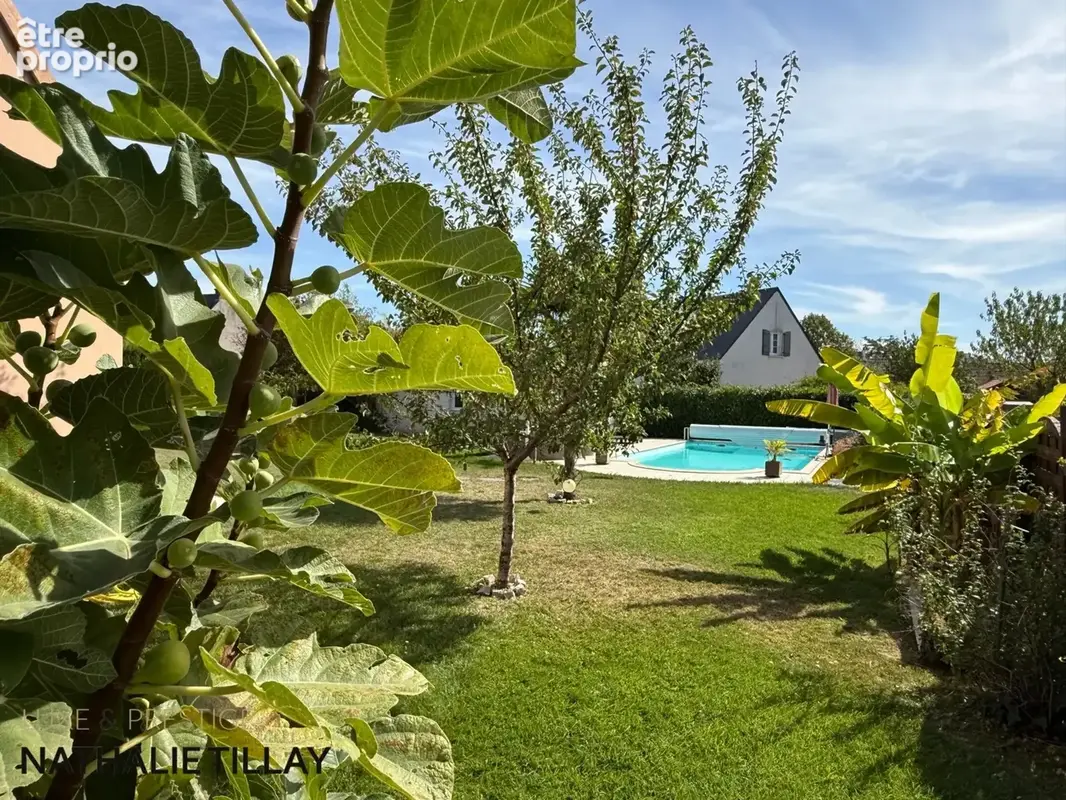 SAINT PRYVE SAINT MESMIN, maison a vendre, piscine et jardin - photo 18