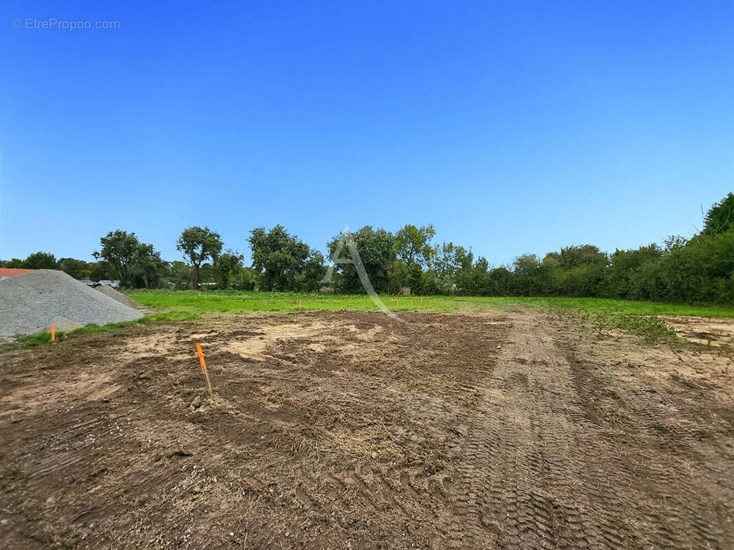 Terrain à NOTRE-DAME-DE-MONTS